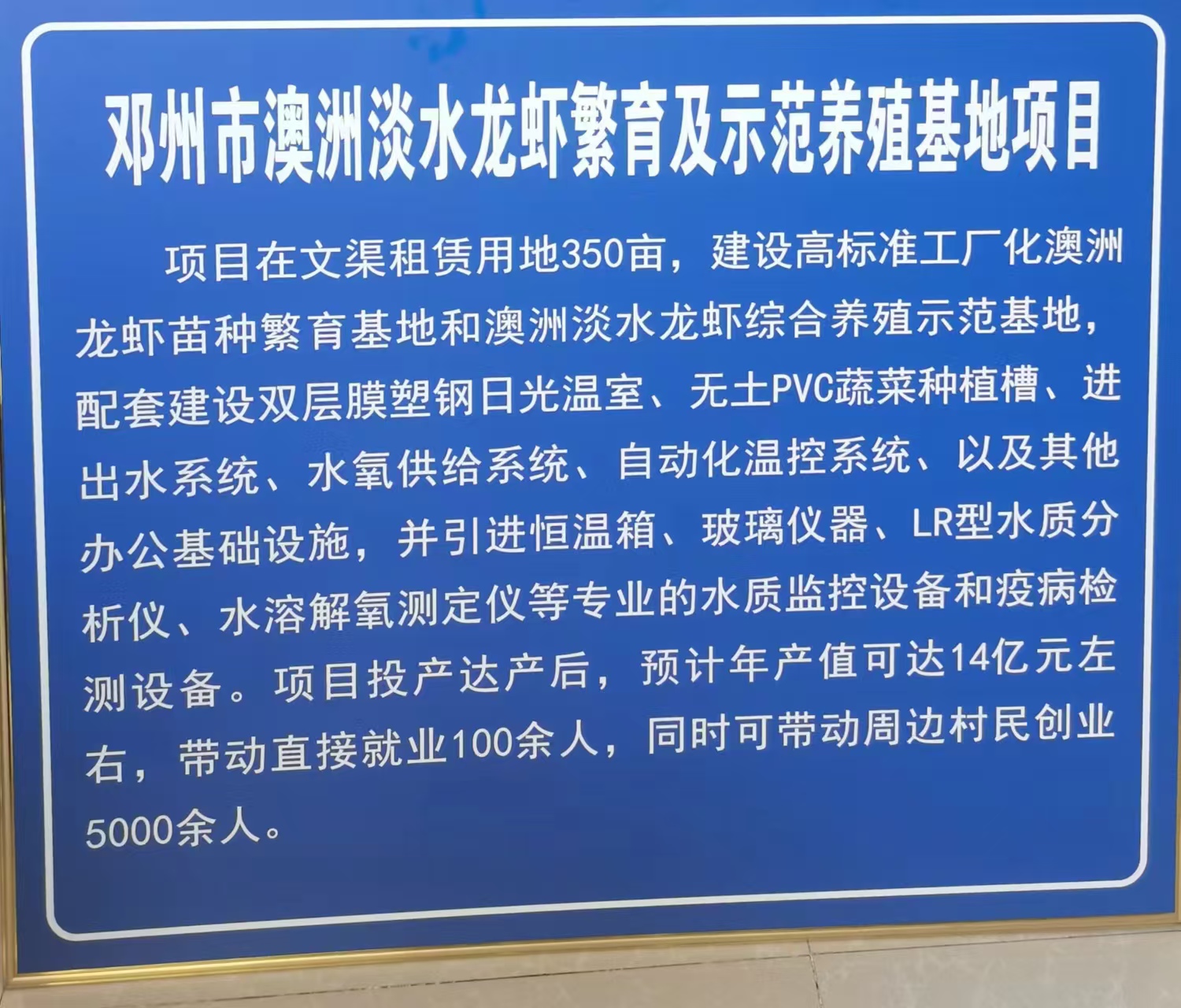 百亩澳洲龙虾繁育示范基地社建设进度